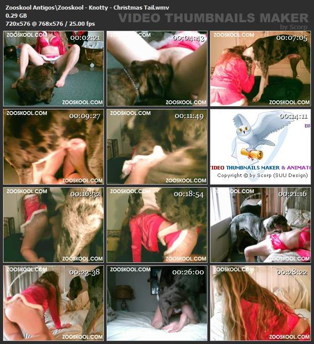 dogbond cachorro gozando Filmes para Download Mulheres brasileiras trepam com garanhão Seamless Nova tomando uma rolada de porco na vagina Cachorro comendo o Cu da empregada